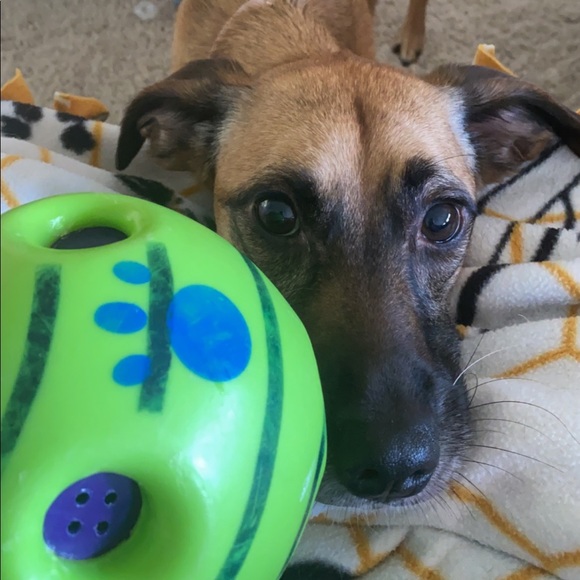 ⚠️Please Read⚠️ - Picture 5 of 8